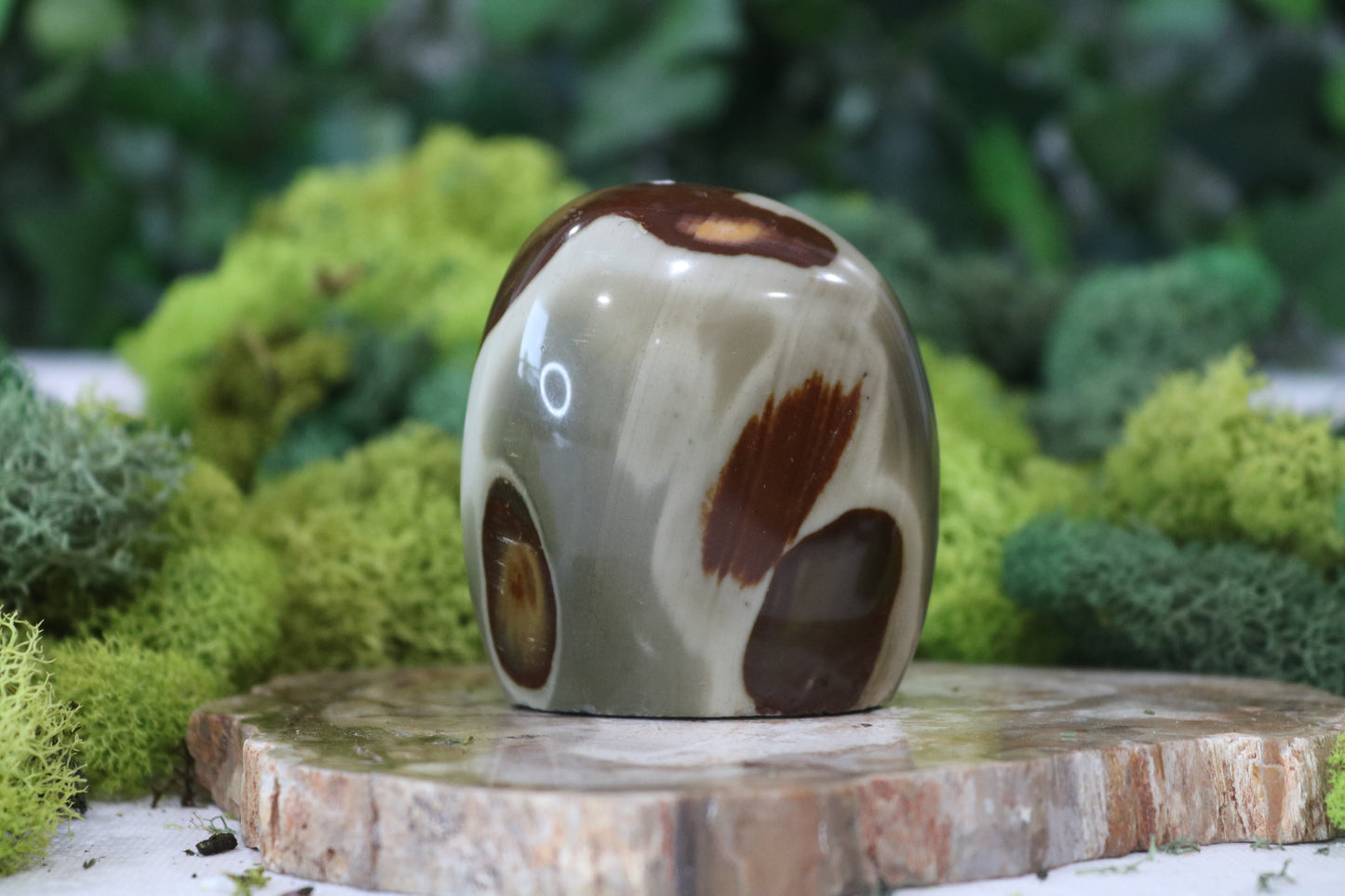Polychrome Jasper Freeforms