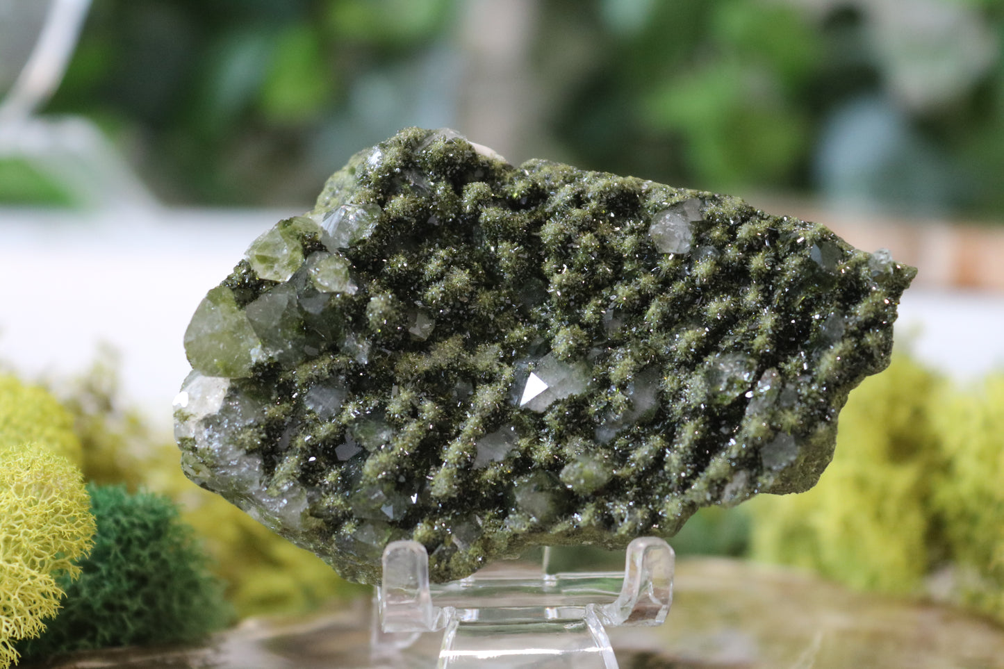 Epidote w/ Quartz Specimens