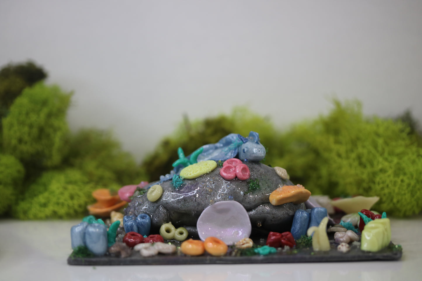 Baby Reef Dragon