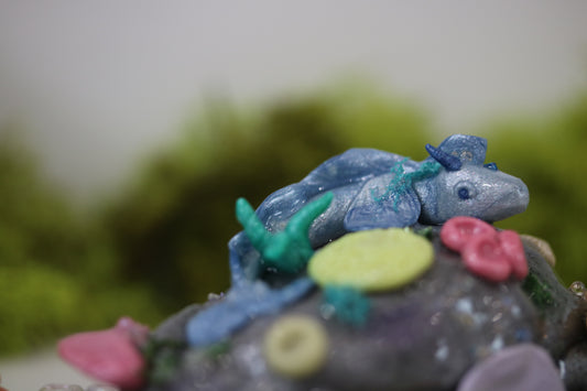 Baby Reef Dragon