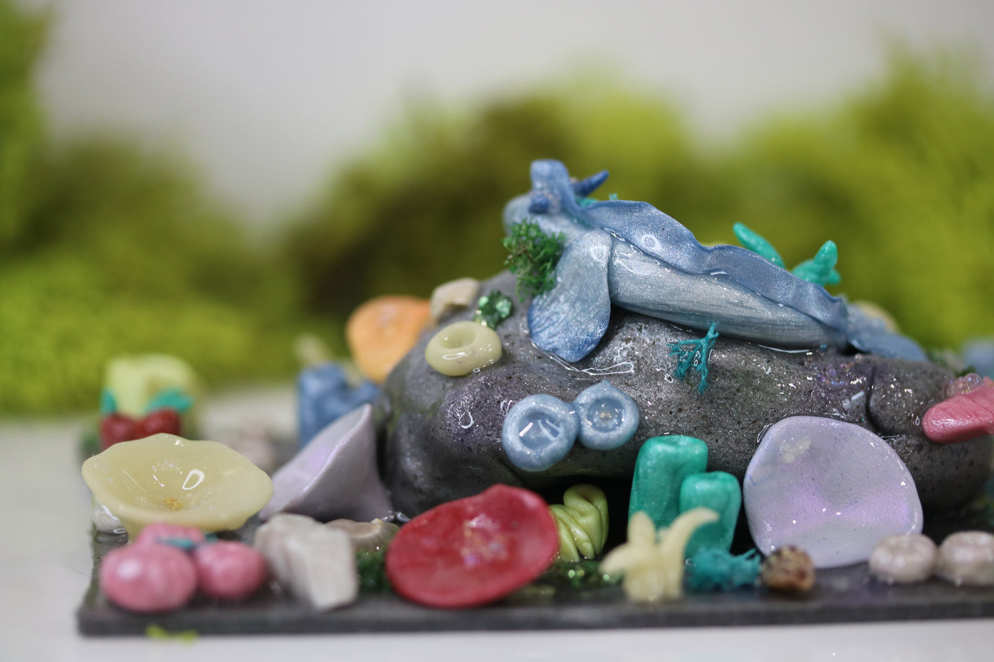 Baby Reef Dragon
