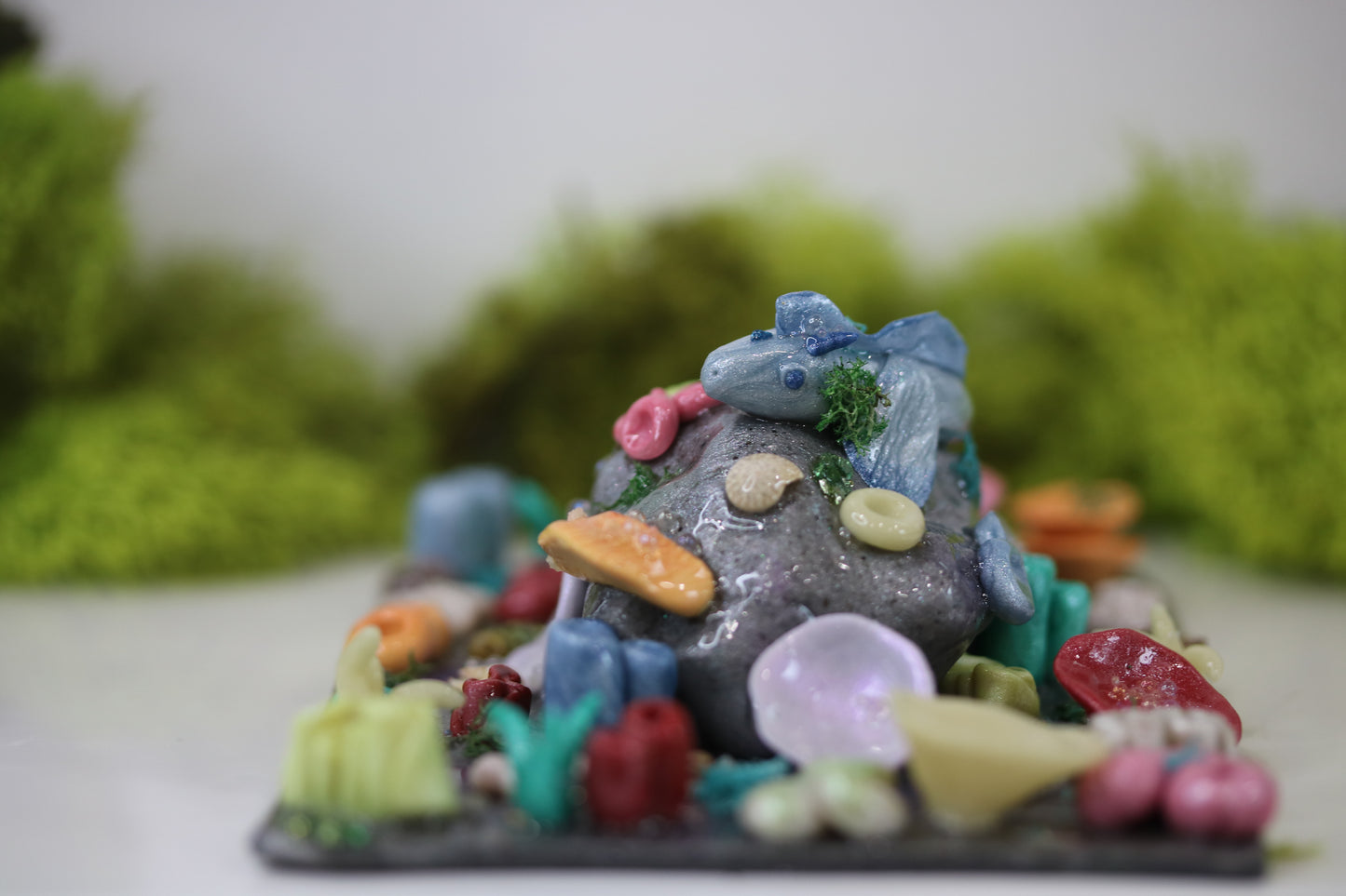 Baby Reef Dragon