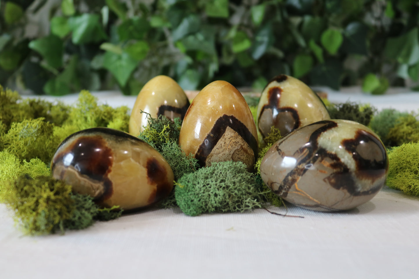 Septarian Eggs (uncut)