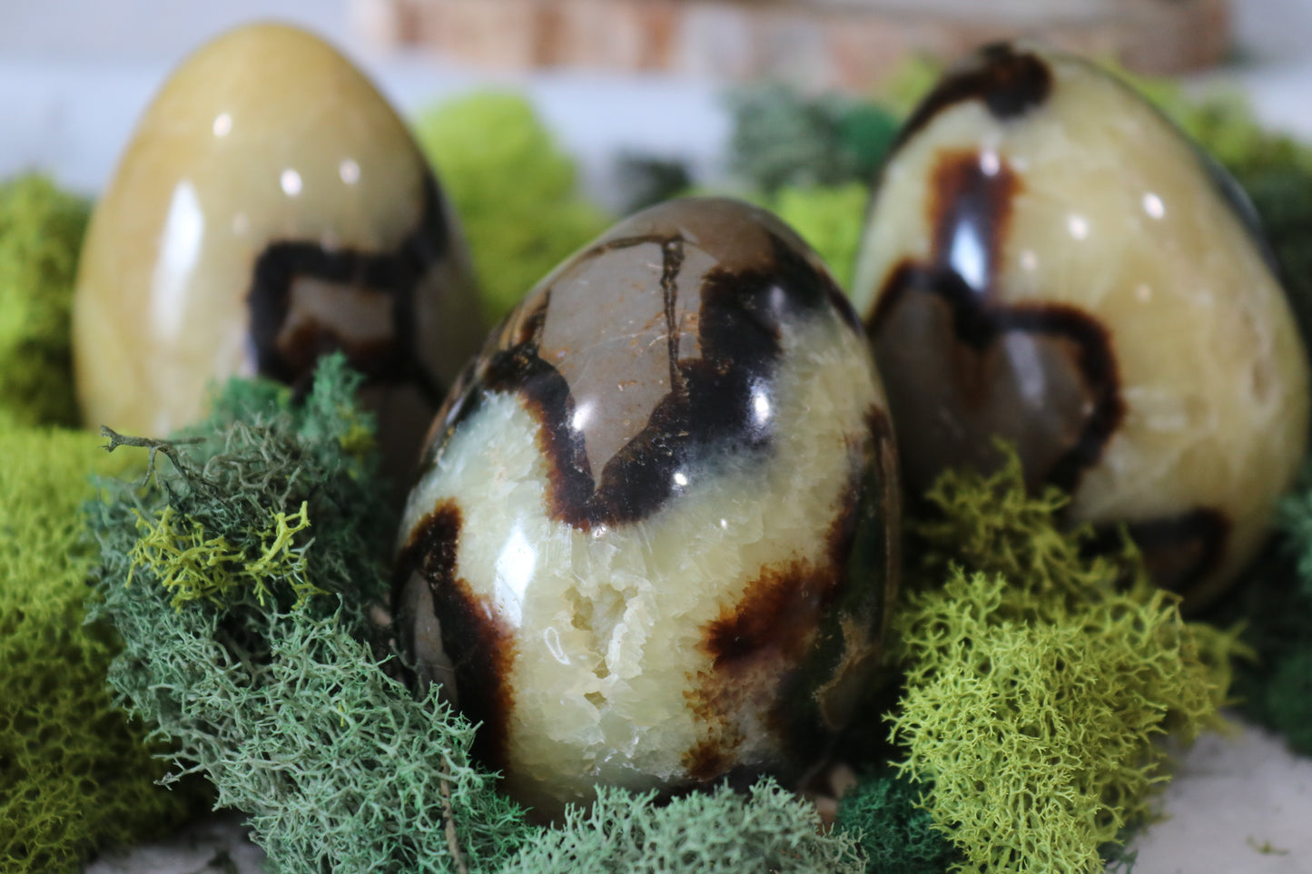 Septarian Eggs (uncut)