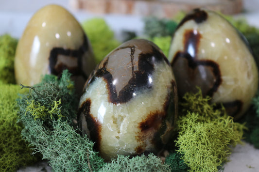 Septarian Eggs (uncut)