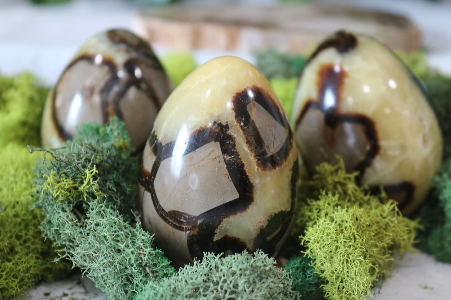 Septarian Eggs (uncut)