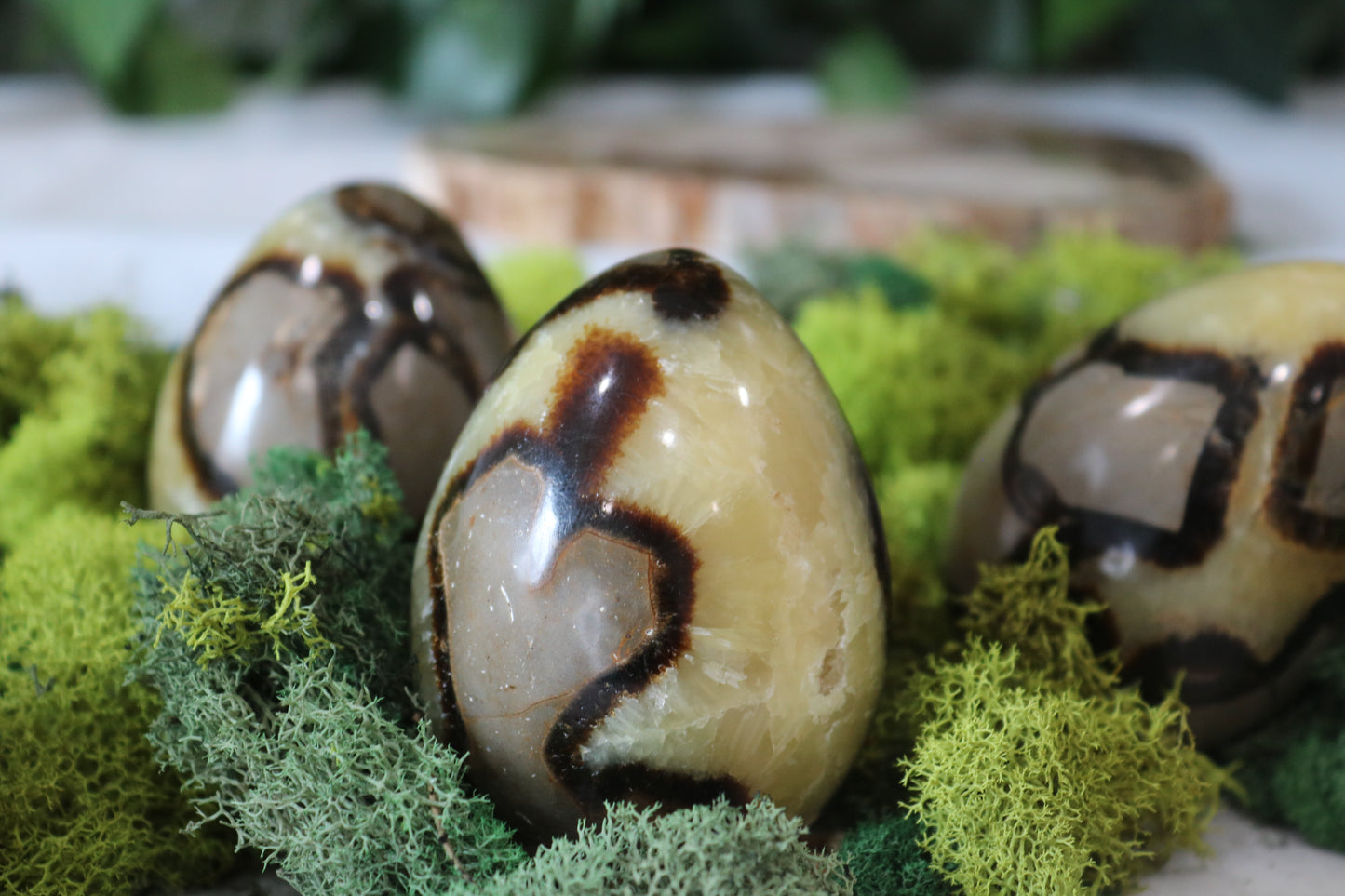 Septarian Eggs (uncut)