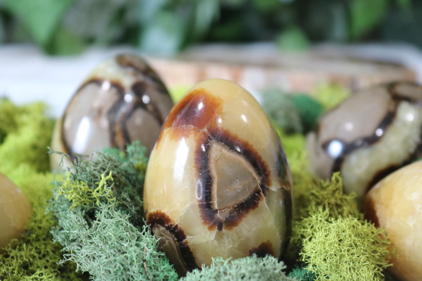 Septarian Eggs (uncut)