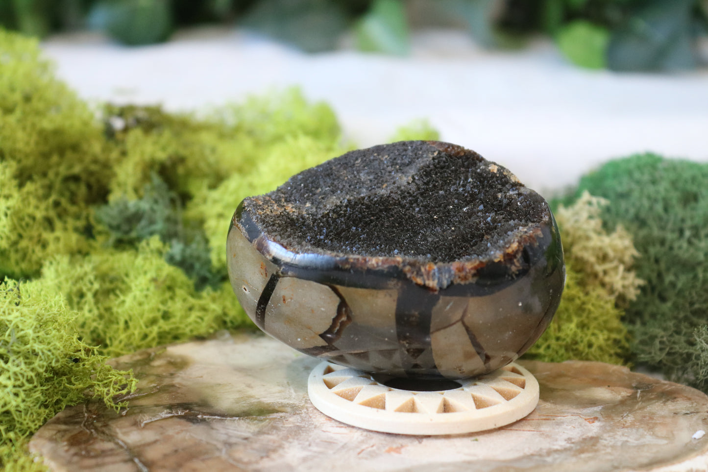 Septarian Dragon Eggs