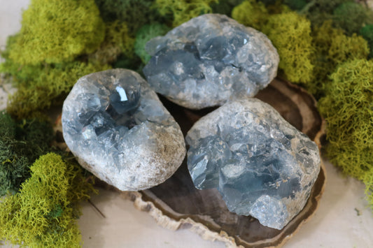 Celestite