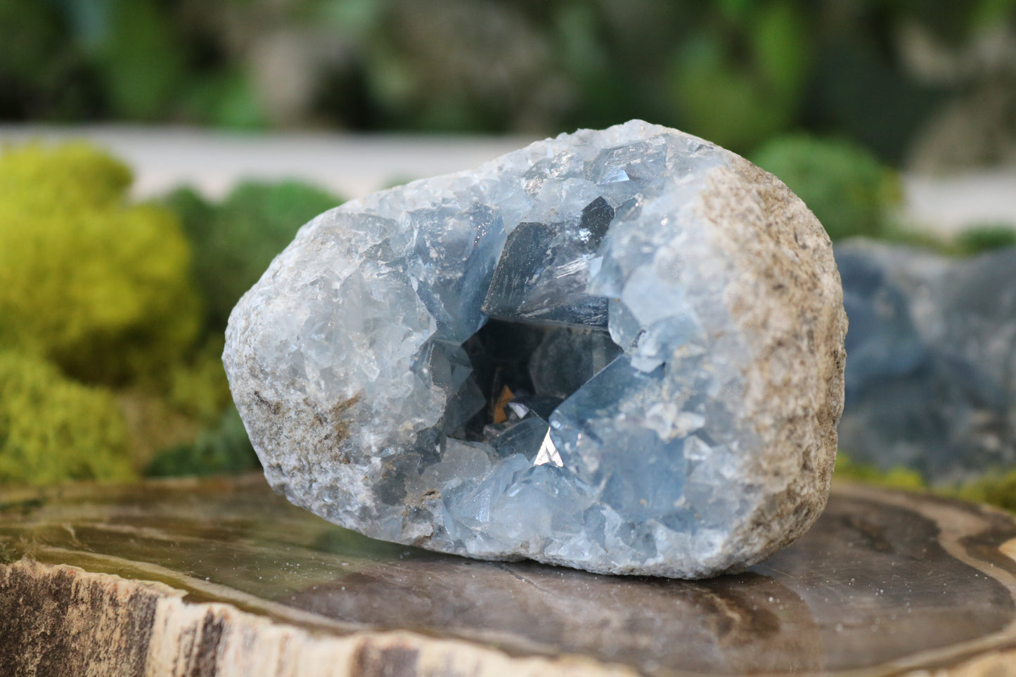 Celestite