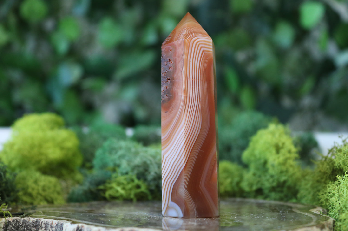 Carnelian Towers