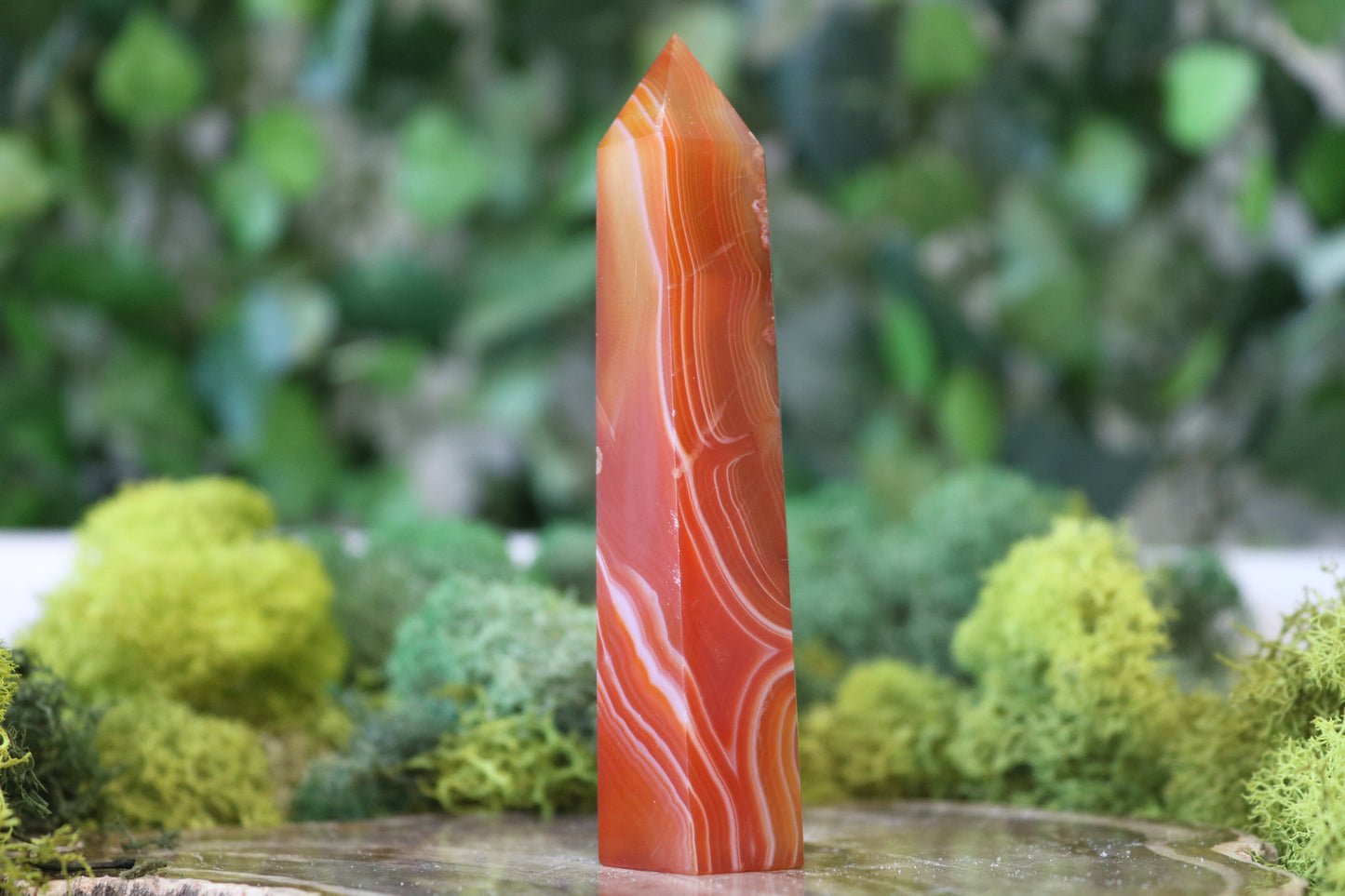 Carnelian Towers