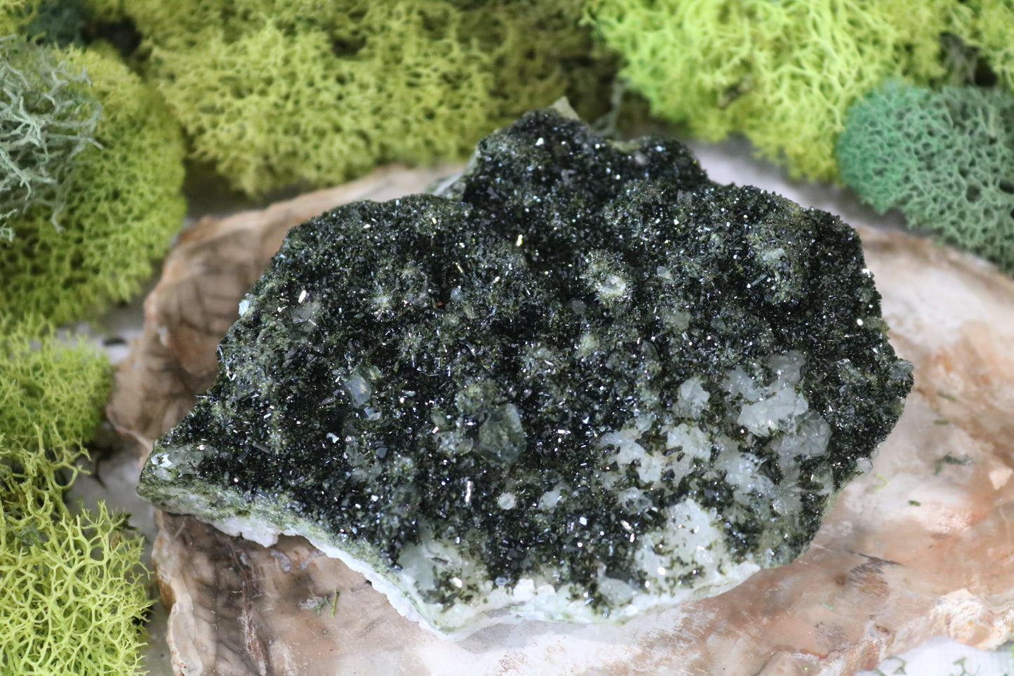 Medium-Epidote with Quartz Specimen
