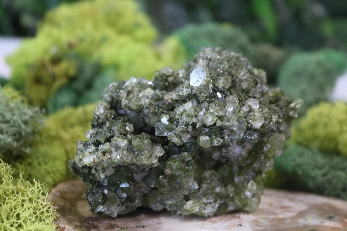 Medium-Epidote with Quartz Specimen