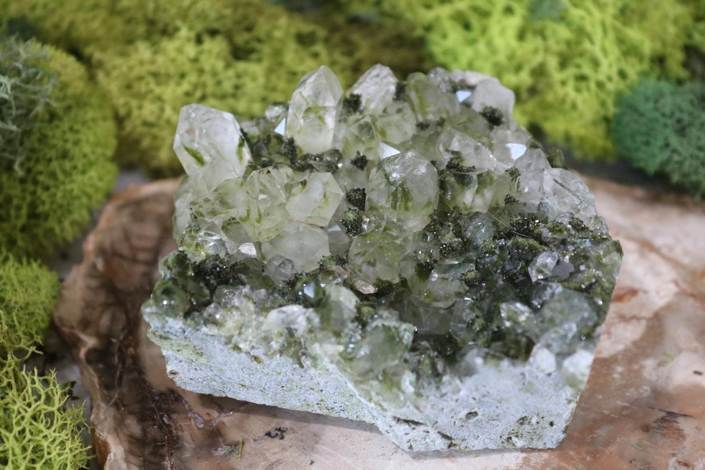Medium-Epidote with Quartz Specimen