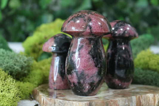 Rhodonite Mushroom Carvings