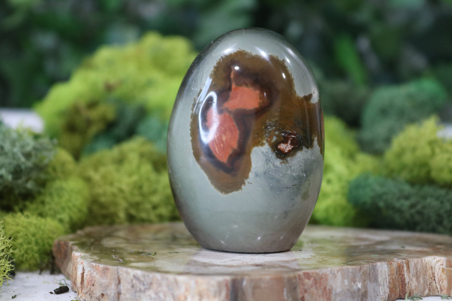 Polychrome Jasper Freeforms