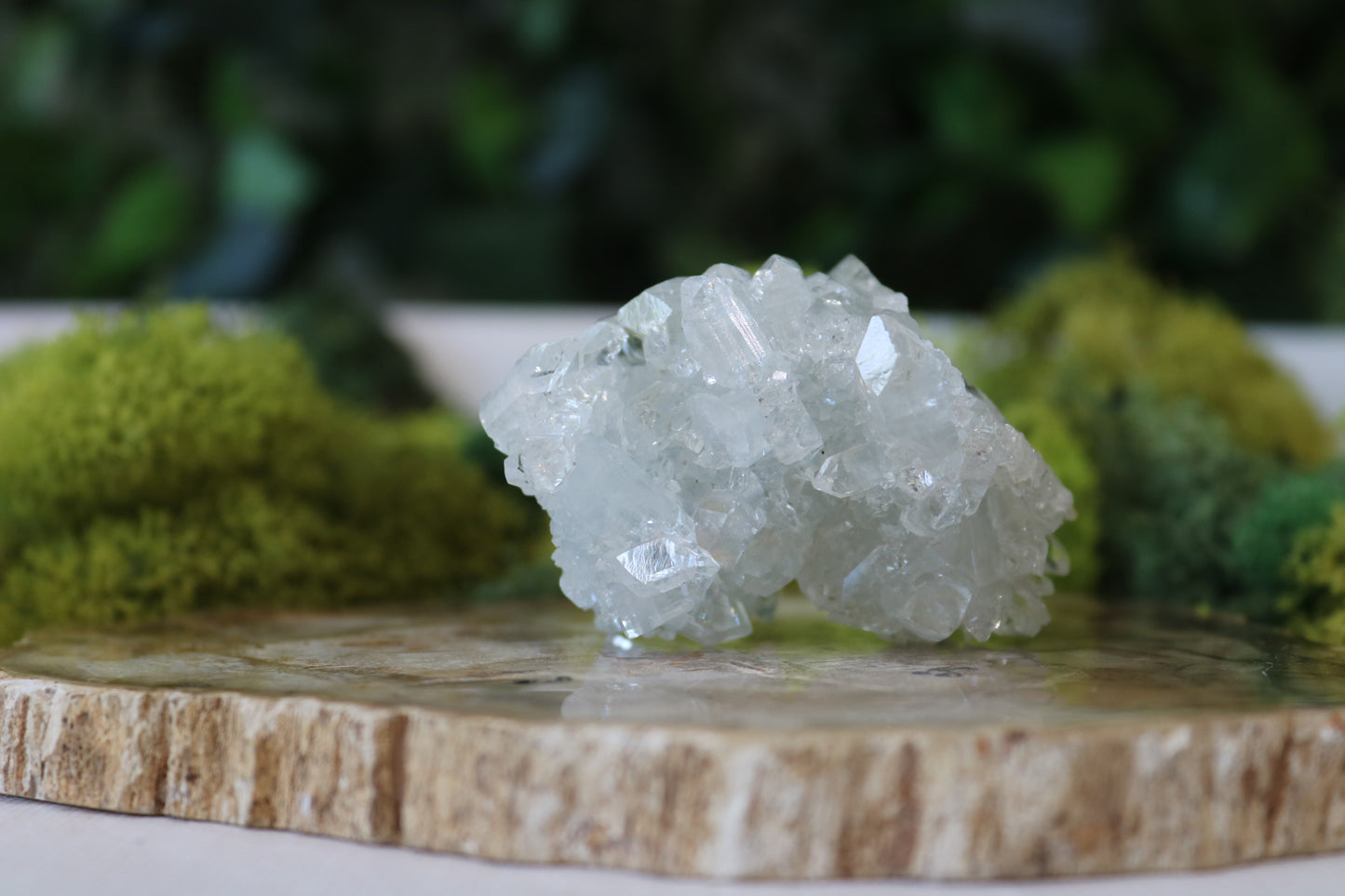 Apophyllite Specimens