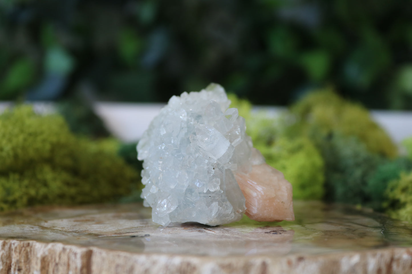 Apophyllite Specimens
