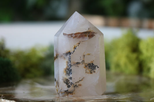 Small Dendritic Quartz Towers