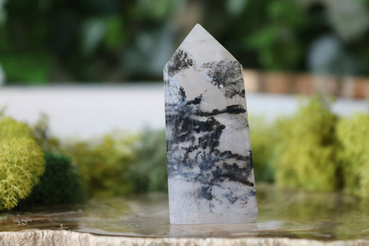Small Dendritic Quartz Towers