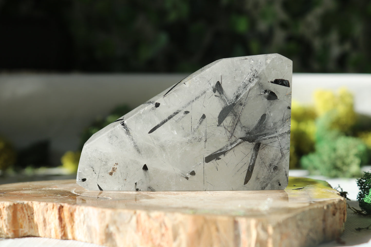 Tourmaline in Quartz Freeforms