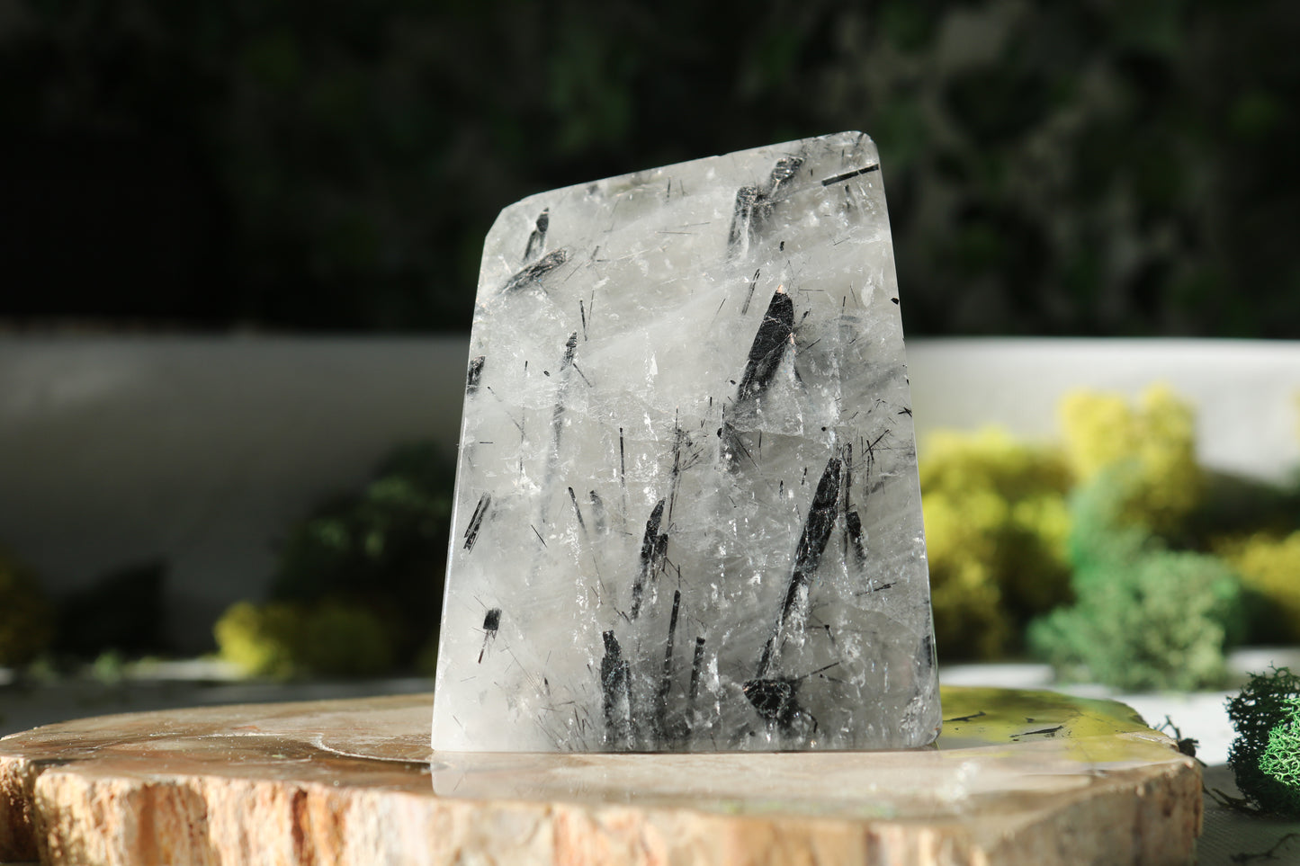 Tourmaline in Quartz Freeforms