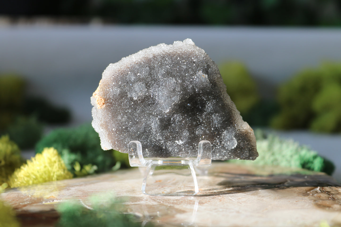 Druzy Black Chalcedony Specimens