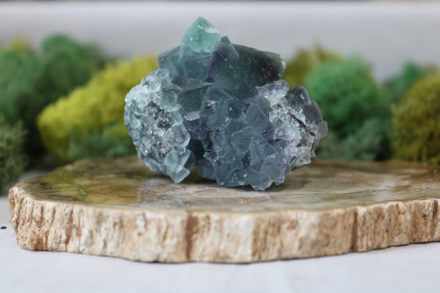 Fluorite Specimens