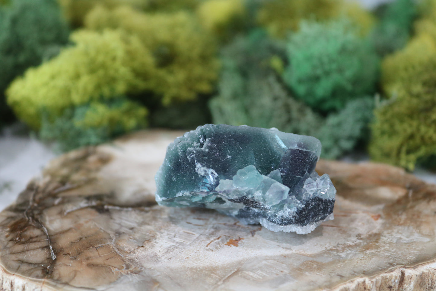 Fluorite Specimens